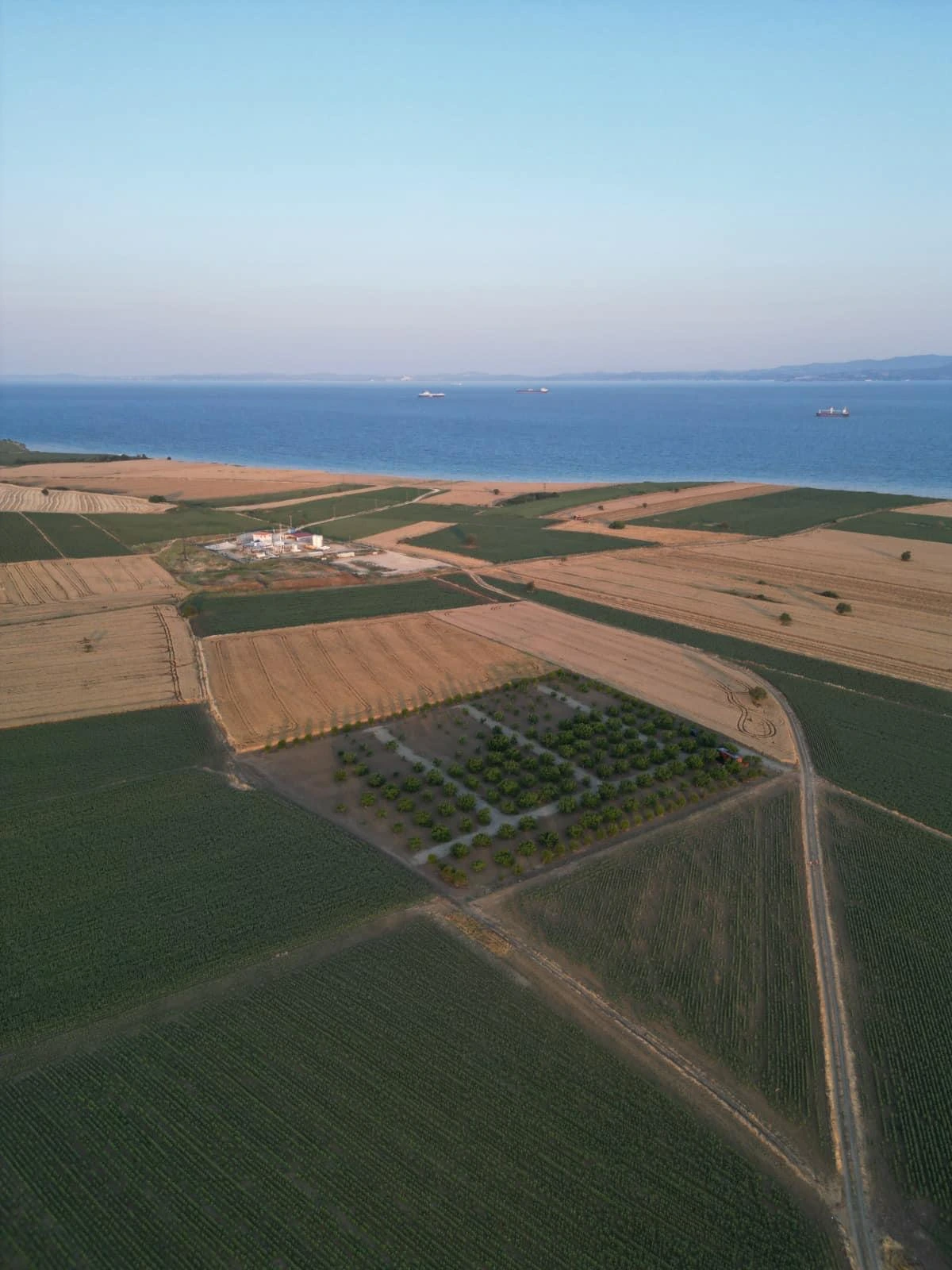 bi yaşam gelibolu (4)