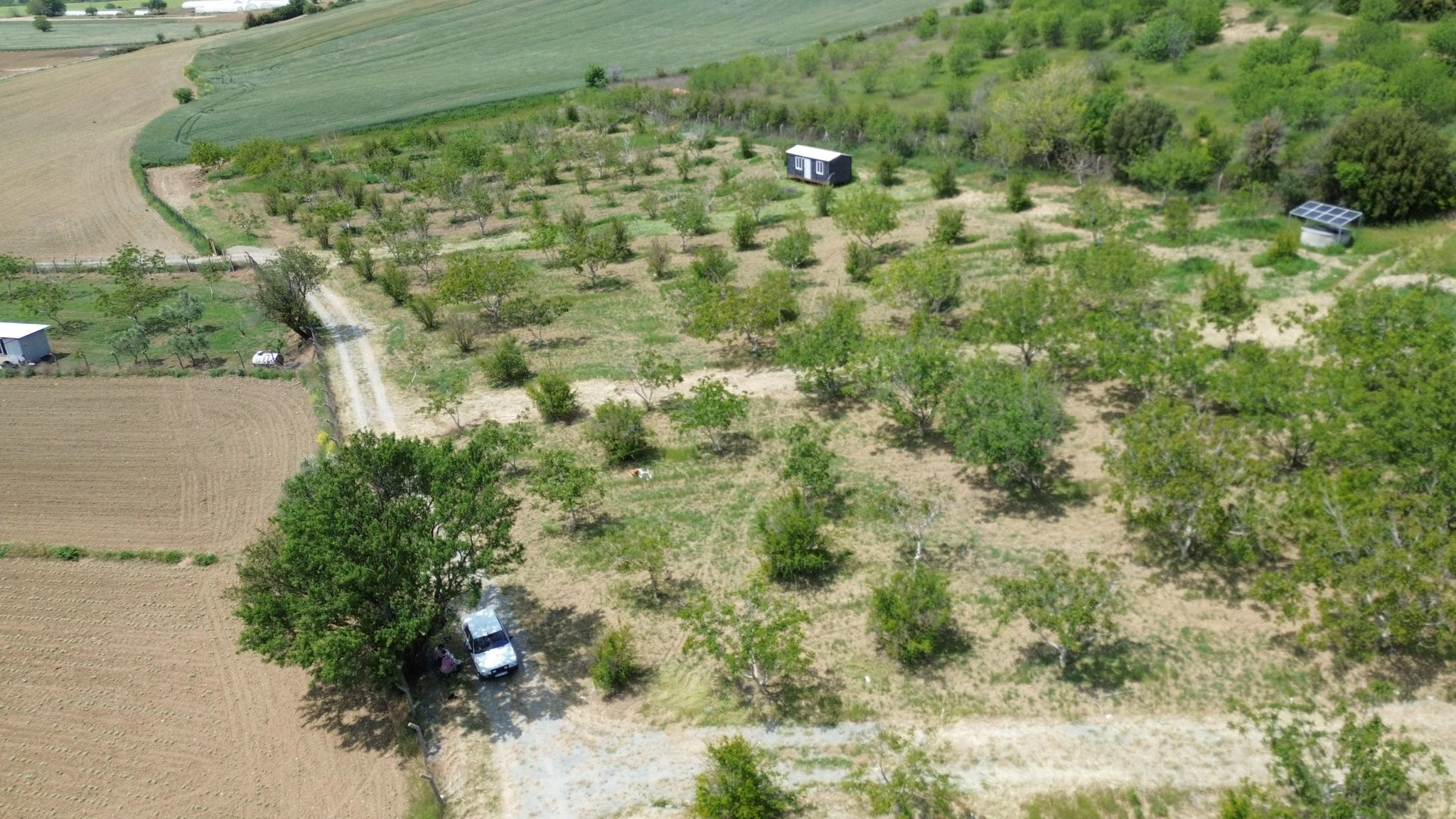 gelibolu-hasatköy-projesi (9)